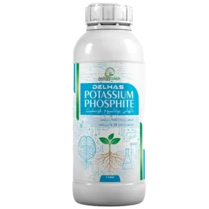 سماد بوتاسيوم فوسفيت سائل لتعزيز مقاومة النبات وتحسين النمو – الرواد كيم