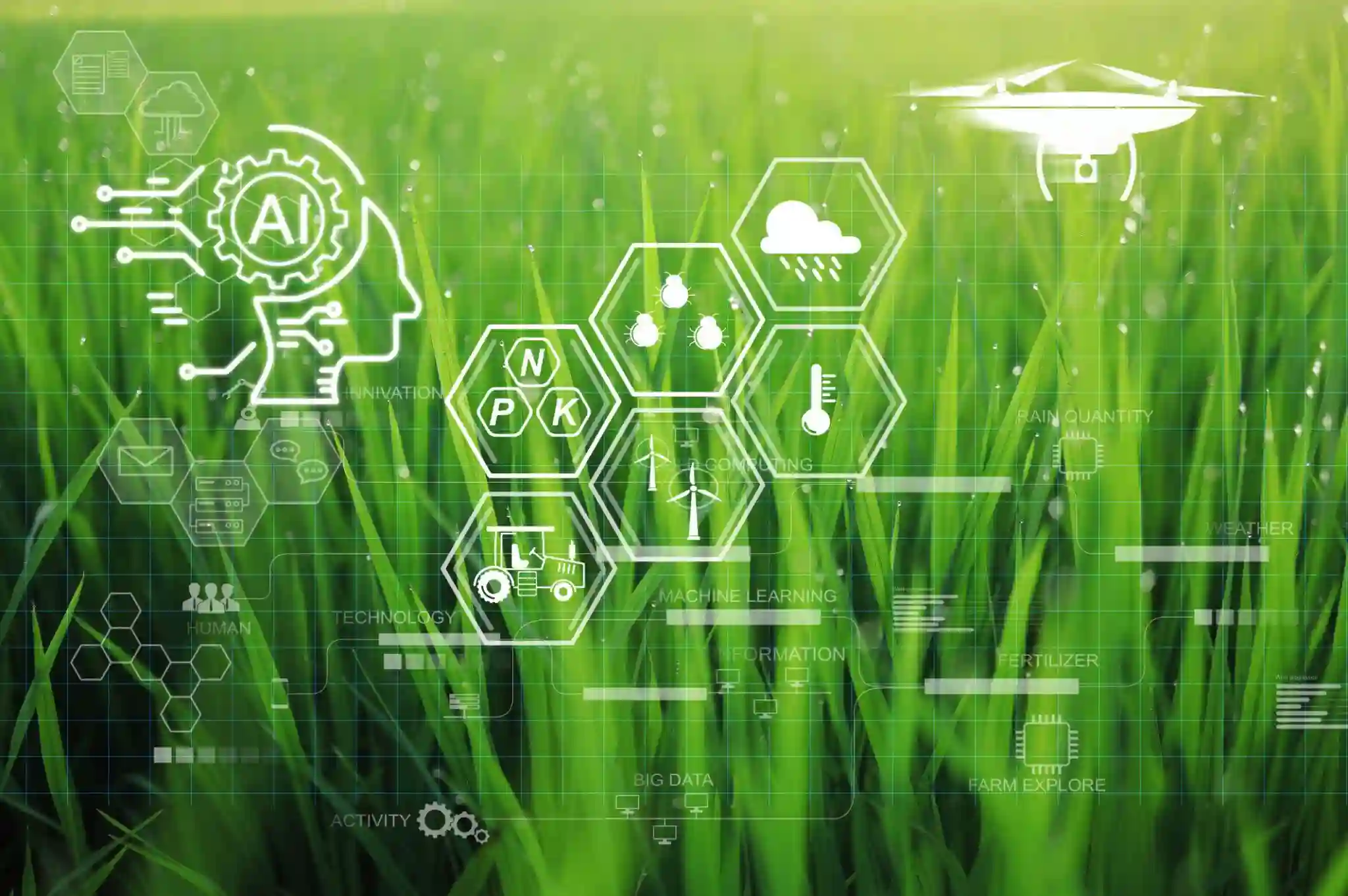 حلول زراعية متطورة ومنتجات الرواد كيم لتغذية النبات