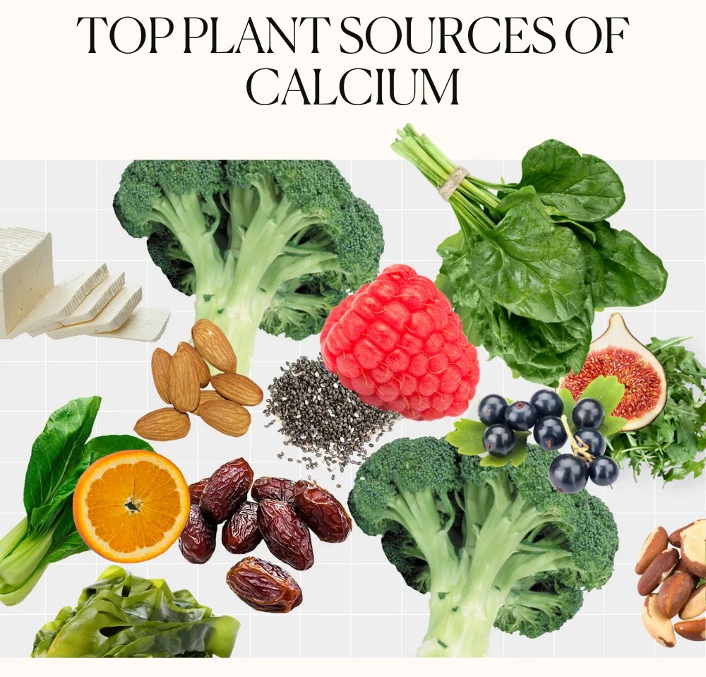 فوائد الكالسيوم للنبات وتحسين صلابة الثمار – ديلهاس سالت كالك من الرواد كيم